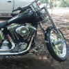 bamafan36701
